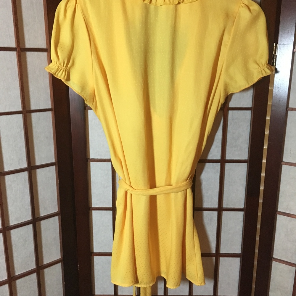 Whimsy Yellow Ruffle & Lace Blouse - Picture 4 of 4